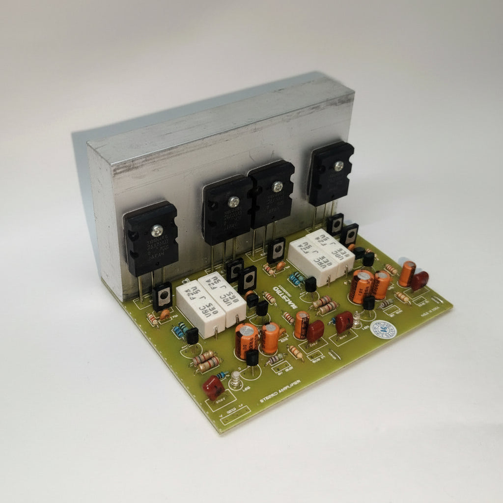 Maestro Amplifier Board MA100X2